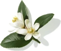 Lancôme Poême 30 Ml - Eau De Parfum - Damesparfum -Modecosmetica 1200x1019