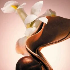 Hugo Boss The Scent Le Parfum Eau De Parfum 100 Ml -Modecosmetica 1200x1200 36