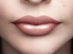 L'Oréal Paris Color Riche Shine Lippenstift - 658 Topless 11 L'Oréal Paris Color Riche Shine Lippenstift - 658 Topless -Modecosmetica 1200x895